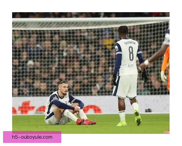 热刺因伤病撤回德拉古辛转会